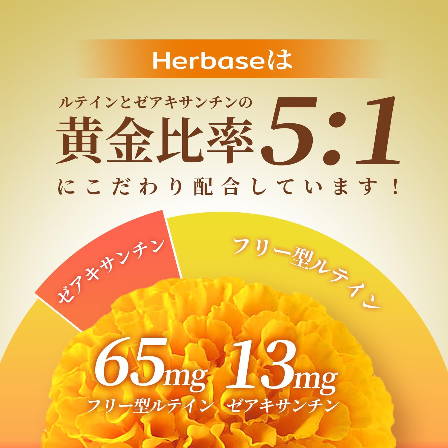 【60-Day Supply】Lutein 65mg Zeaxanthin 13mg Supplement (5:1 Golden Ratio of Lutein and Zeaxanthin) Free Form Domestically Manufactured High Concentration Lutein Zeaxanthin by Herbase