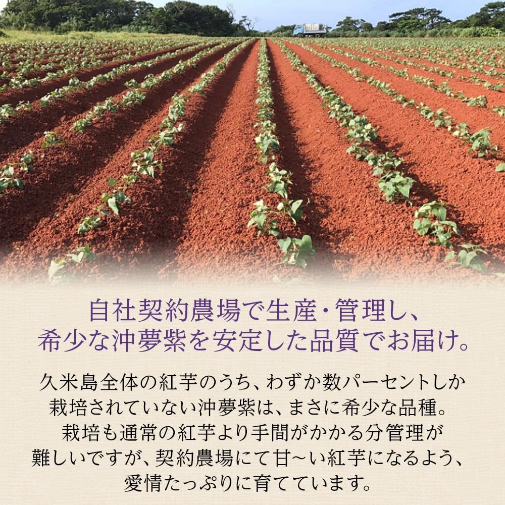Flavored Okinawa Dried Red Potatoes, 2.1 oz (60 g) (6 pcs) x 3 Bag Set