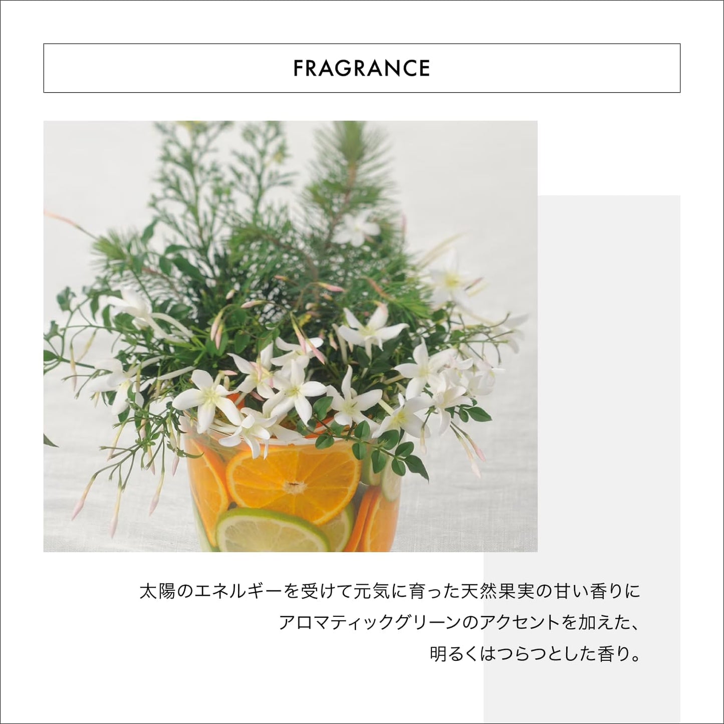 ADENOVITAL（アデノバイタル） スカルプトリートメント 130g×2個｜頭皮ケア トリートメント｜ハリ・コシ・ボリューム感アップ｜サロン専売品 (130g(×2個))