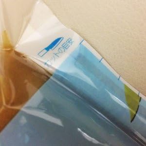 Kankorochi Plain 9.2 oz (260 g) x 2 Packs, Made in Nagasaki Prefecture, Mail Bin