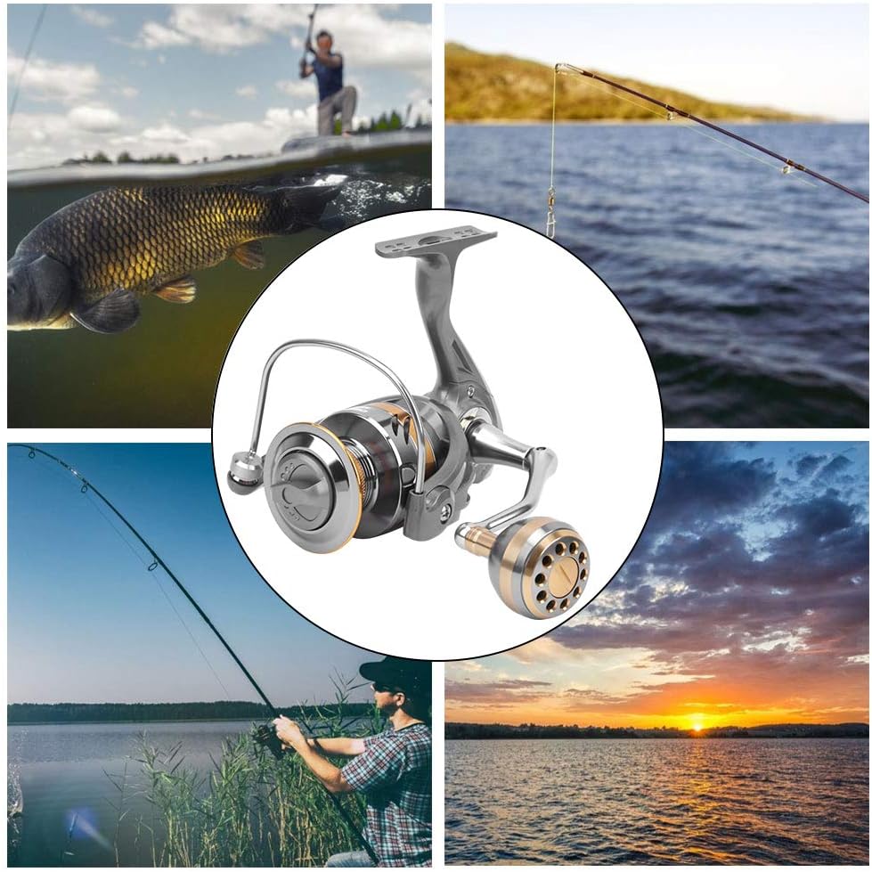 Spinning Reel Fishing Reel 2BB AR5000 Metal Fishing Gear Left/Right Interchangeable Adjustable for River, Lake, Sea, Reservoir