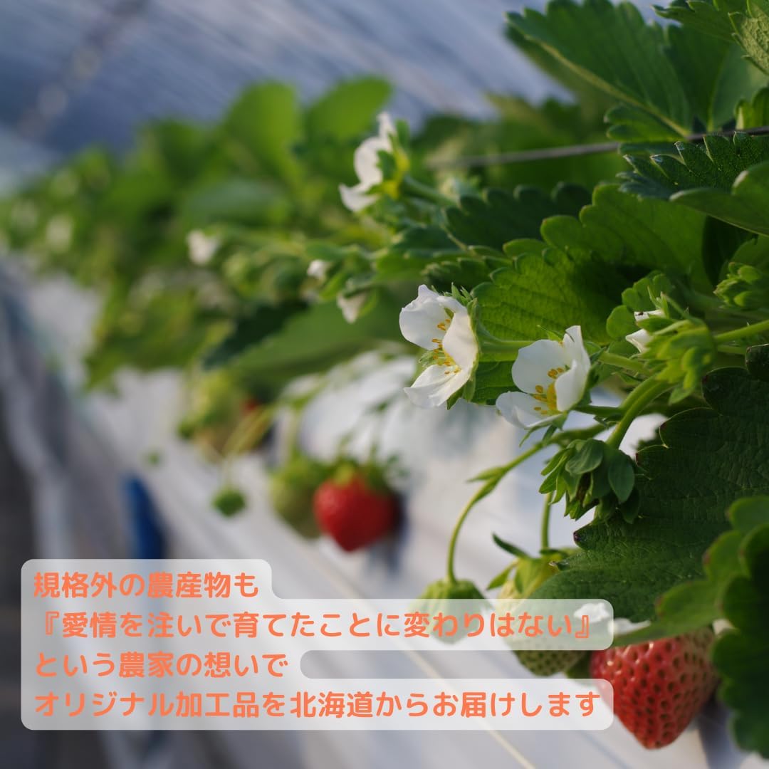 Hokkaido Strawberry, From Farmhouseholds, Normal Temperature, Strawberry, Milk, Pudding Wood, 2.4 oz (68 g) x 5 Pieces, Insert, Souvenir, Storage, Normal Temperature, Strawberry, Milk, Specialty Products, Local