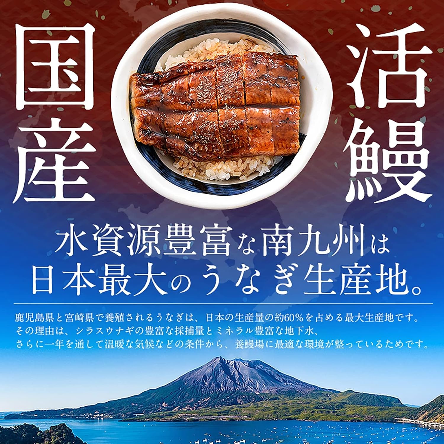Minato Dining Shiosou Eel Kabayaki Headless, Kagoshima/Miyazaki Prefecture-Produced (Extra Large Size Approx. 7 oz x 3 Tails) Approx. Serves 6, [Gift Box Included] Gift, Domestic Eel, Grilled Eel