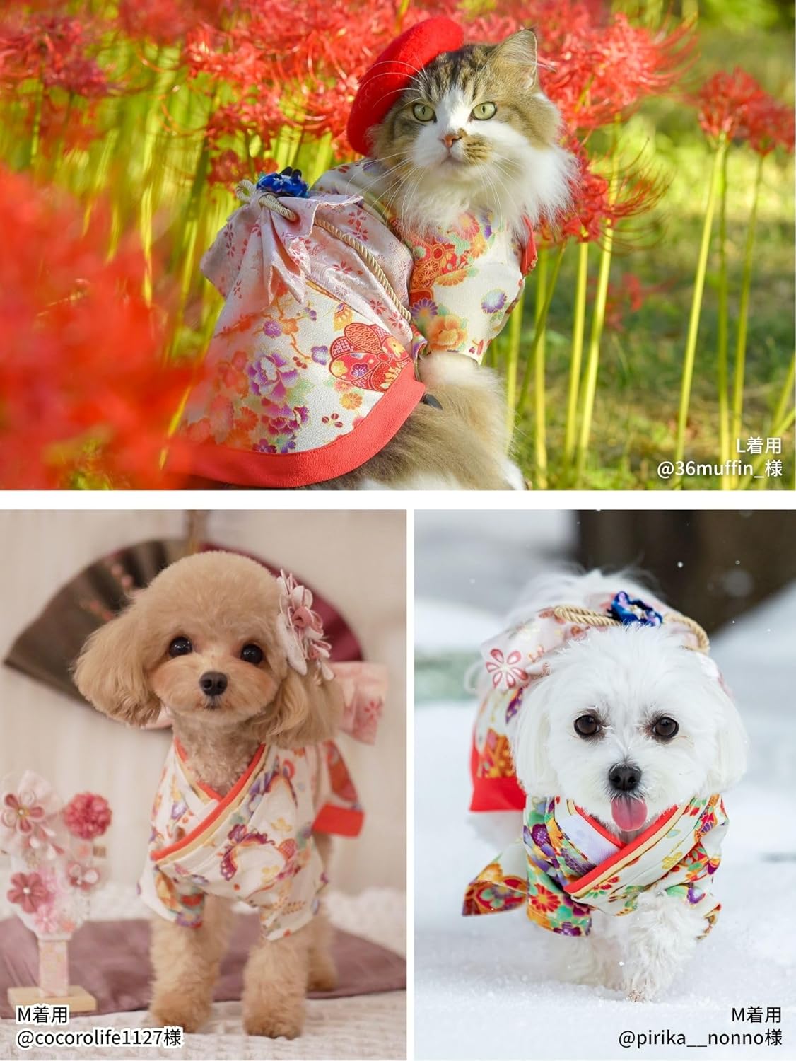 ONEKOSAMA OINUSAMA Dog Clothes Cat Cat Kimono Kimono Kimono Dog Wear Festival New Year New Year Shichi-Go-San Small Dog Large Dog Small Large Size [Cream/XS]