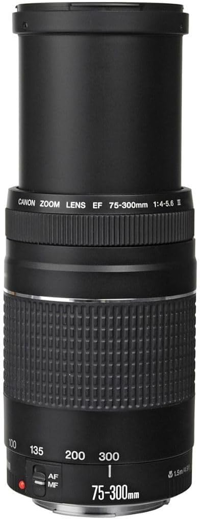 Canon EF 75 – 300 mm f / 4 – 5.6 III望遠ズームレンズfor Canon SLRカメラ、6473 a003 (認定Refurbished )
