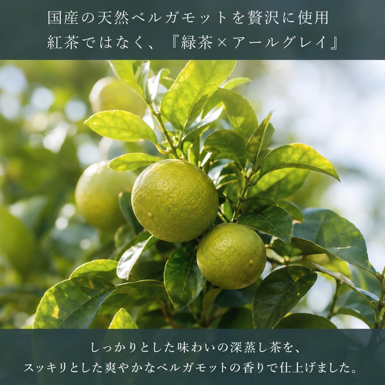 TEAL (Teal) [Green Tea x Bergamot] Green Earl Grey Tea Bags 3g×20P Green Tea, Deep Steamed Tea, Shizuoka Prefecture Makinohara Origin, Hot, Cold Brew Both OK, Present, Gift, Gift, Year-End, Handicraft