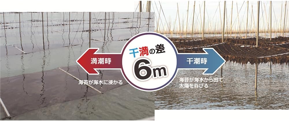 Saga Nori Premium Grade Sagano Umi-Sakiyaki Nori 6 Sheets x 5 Packs