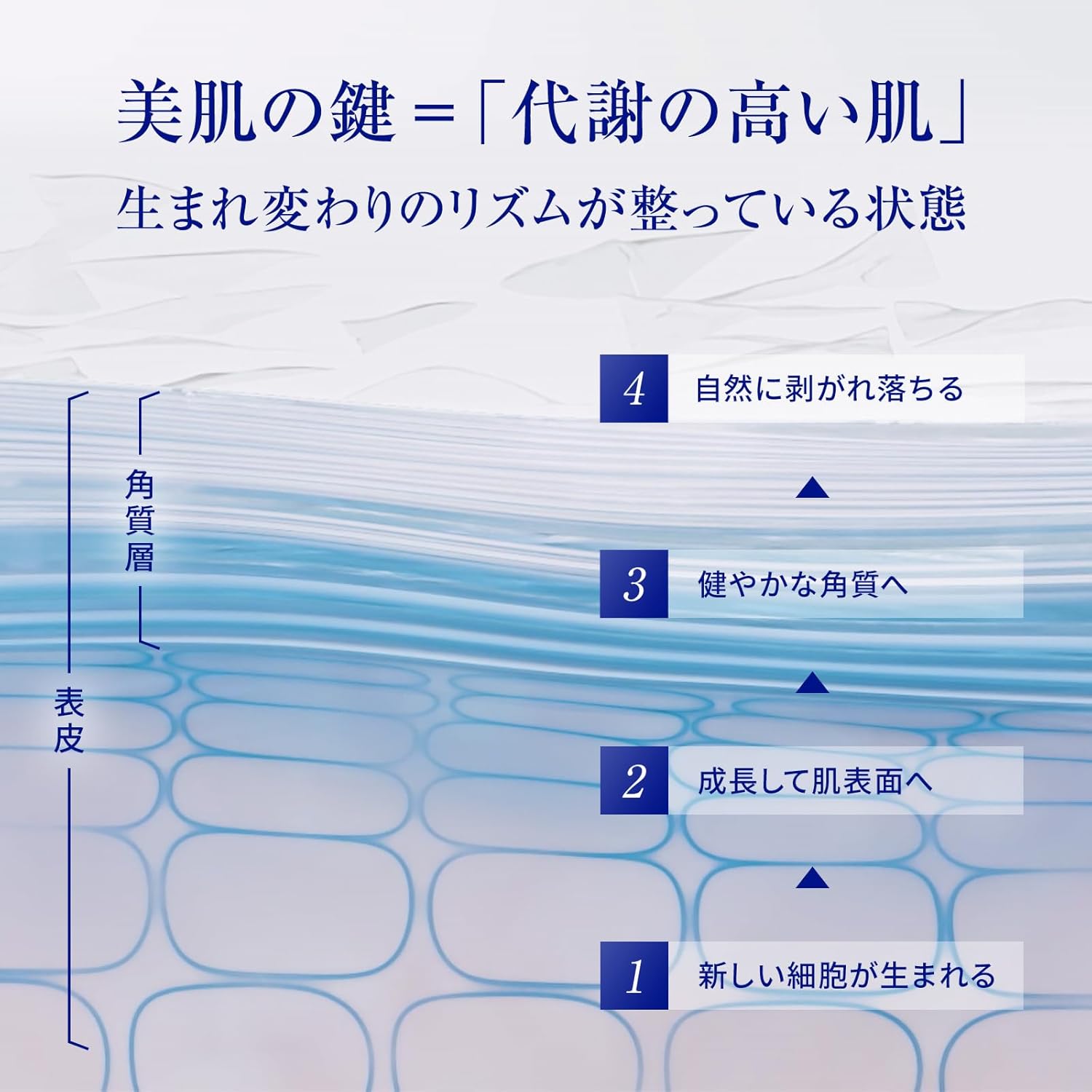 Takami Skinpeel Essence, 30mL