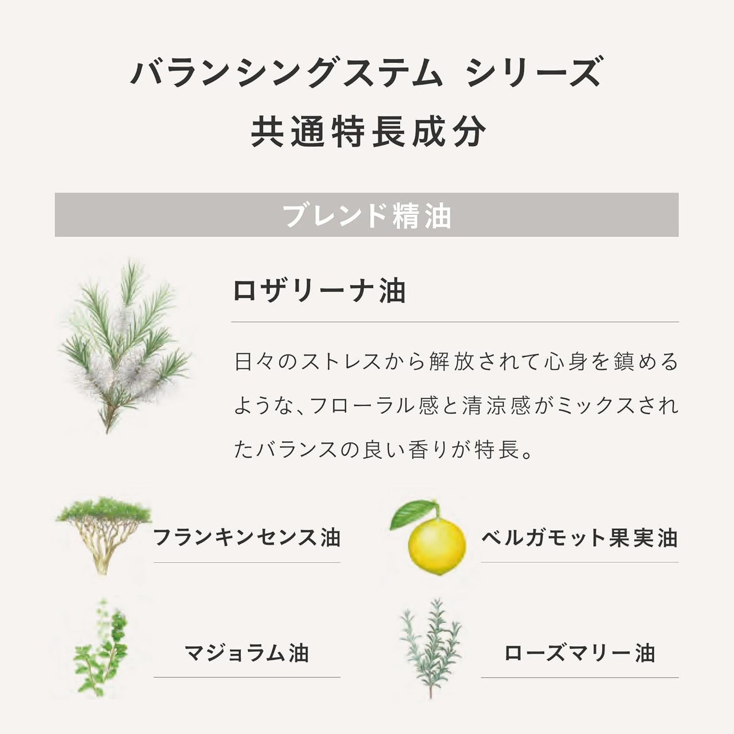 THREE Balancing Stem Lotion Refill 4.3 fl oz (115 ml) [Lotion]