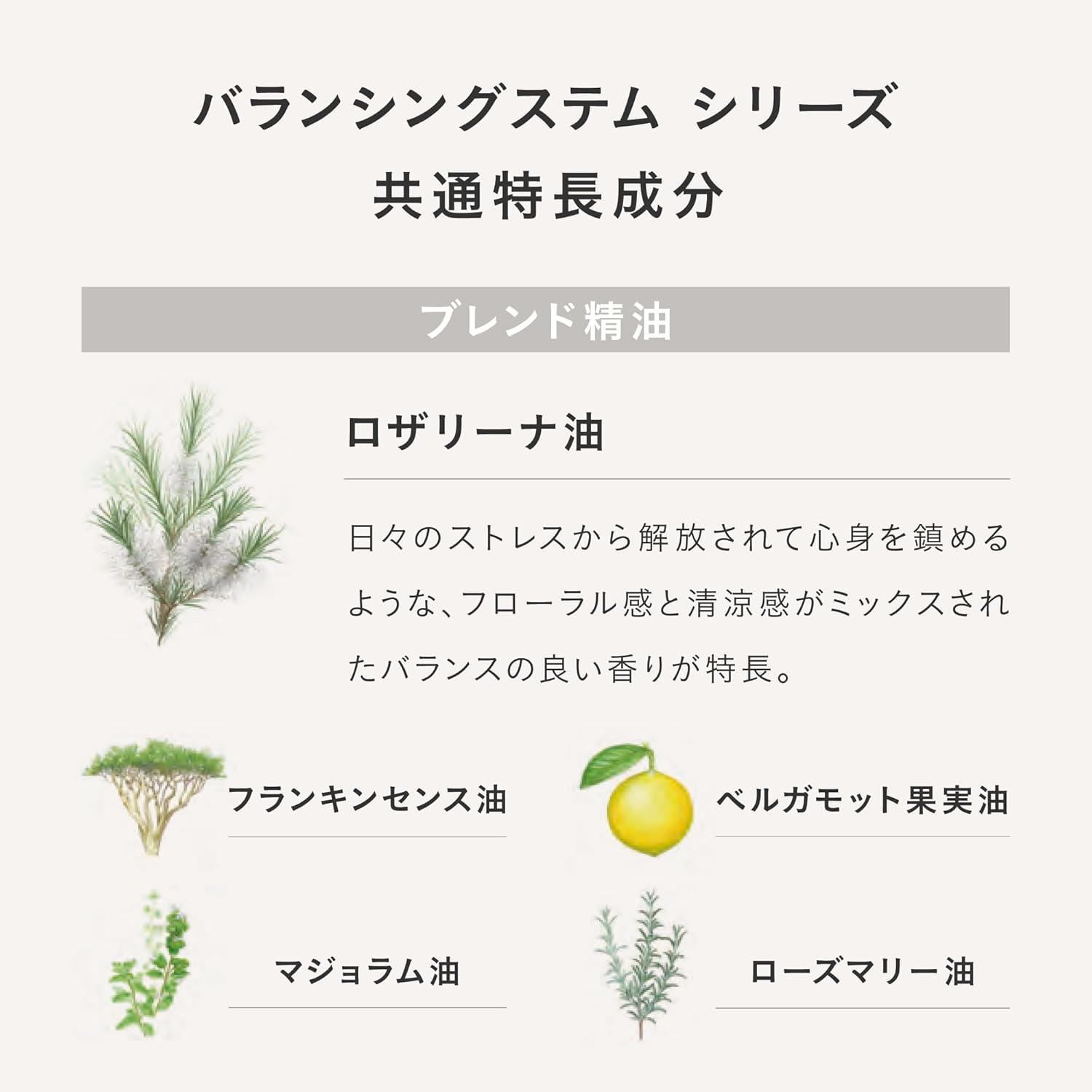 THREE Balancing Stem Lotion Refill 4.3 fl oz (115 ml) [Lotion]