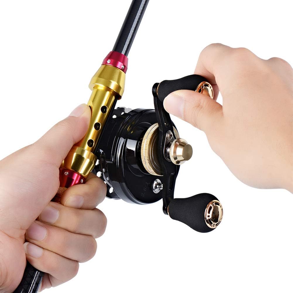 Lizard Chinu Reel Fishing Raft Reel Drop Black Sea Bream, Right Handle, Ice Fishing, 6+1BB, Maximum Drag Force, 11.0 lbs (5 kg), Gear Ratio, 2.6:1 Clutch, Raft Fishing, Casserole Fishing Reel
