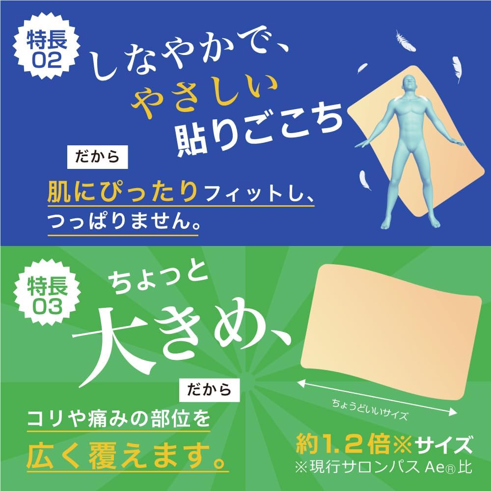 【第3類医薬品】サロンパス 120枚