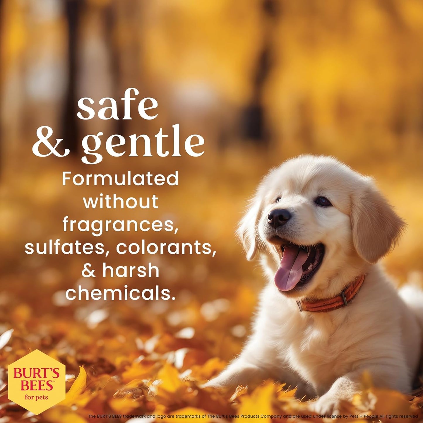 Burt's Bees for Pets Champú y acondicionador para cachorros sin lágrimas con suero de leche, champú suave 2 en 1 para cachorros, limpia y acondiciona la piel sensible, 16 onzas líquidas, paquete de 6