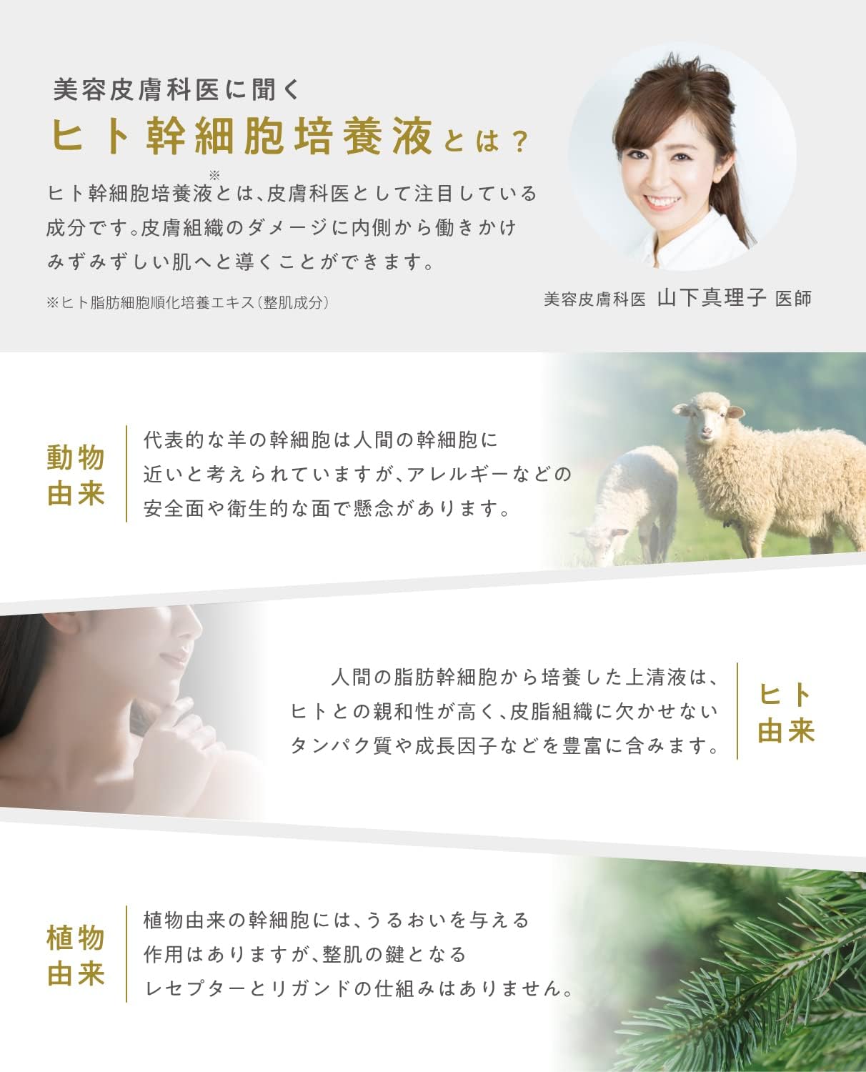 idio Hokkaido Deer Cream, Human Stem Cell Culture Solution, CICA Cream, Trapeza Extract, Rough Skin, Deer Pair, Moisturizing Cream, Made in Japan (Standard Package)