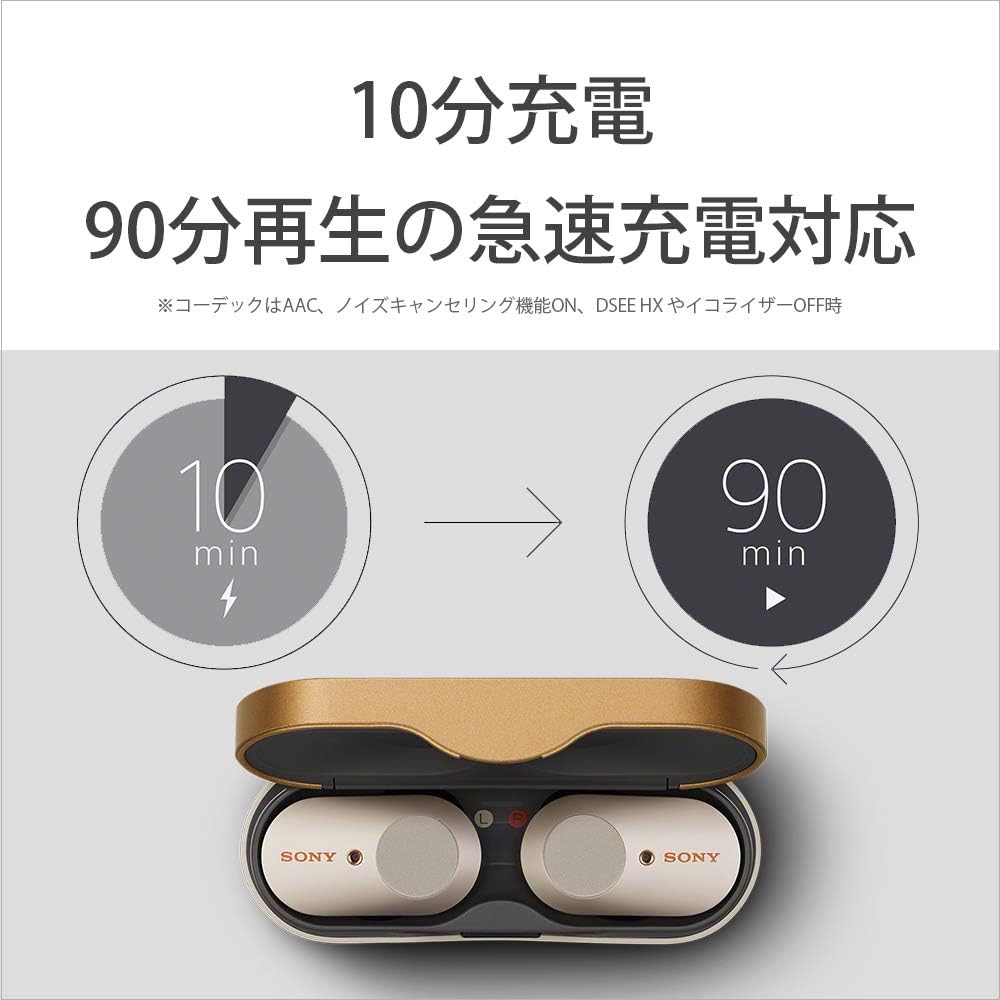 Sony WF-1000XM3 Wireless Noise Cancelling Earbuds, Fully Wireless, Alexa, Bluetooth, High Resolution Equivalent, Up to 6 Hours of Continuous Playback, 2019 Model / Microphone Included, 360