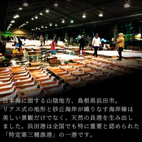 Sanin Dried Fish Set, Dried Fish Set, Carefully Selected Overnight Dried in Shimane and Hamada Port (5 Types of Dried Fish) (5 Types of Dried Fish) Additive-Free Dried Fish Gift
