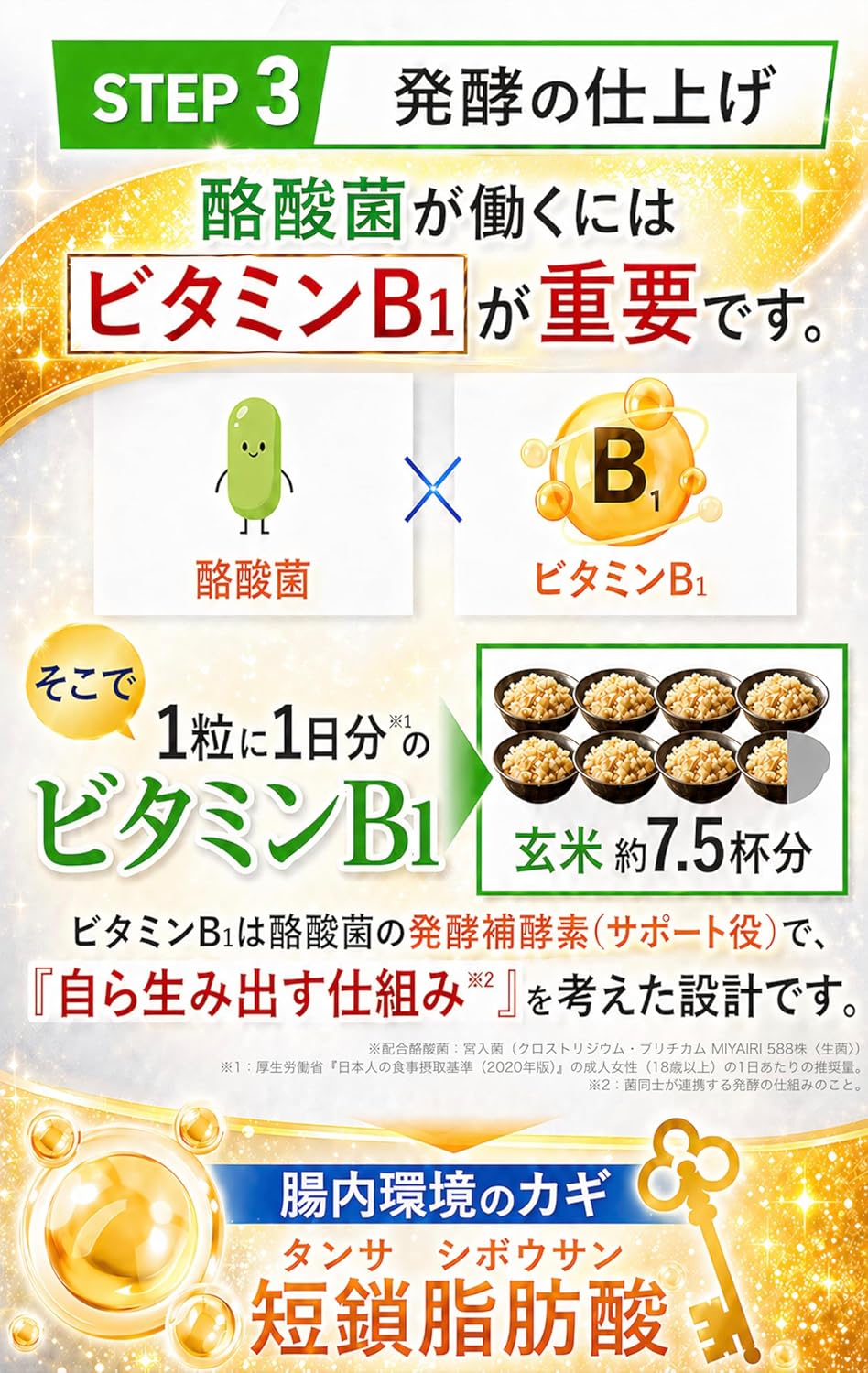 3STEP BIO（スリーステップ ビオ） 生きた菌4種 酪酸菌 乳酸菌 ビフィズス菌 糖化菌 サプリ プロバイオティクス 善玉菌 酪酸 短鎖脂肪酸 腸活 腸内環境 腸内フローラ ポストバイオティクス 5兆個 日本製 国内GMP認定工場 飲みやすい小さめサイズ BLACK PACK（ブラックパック） 30粒 30日分