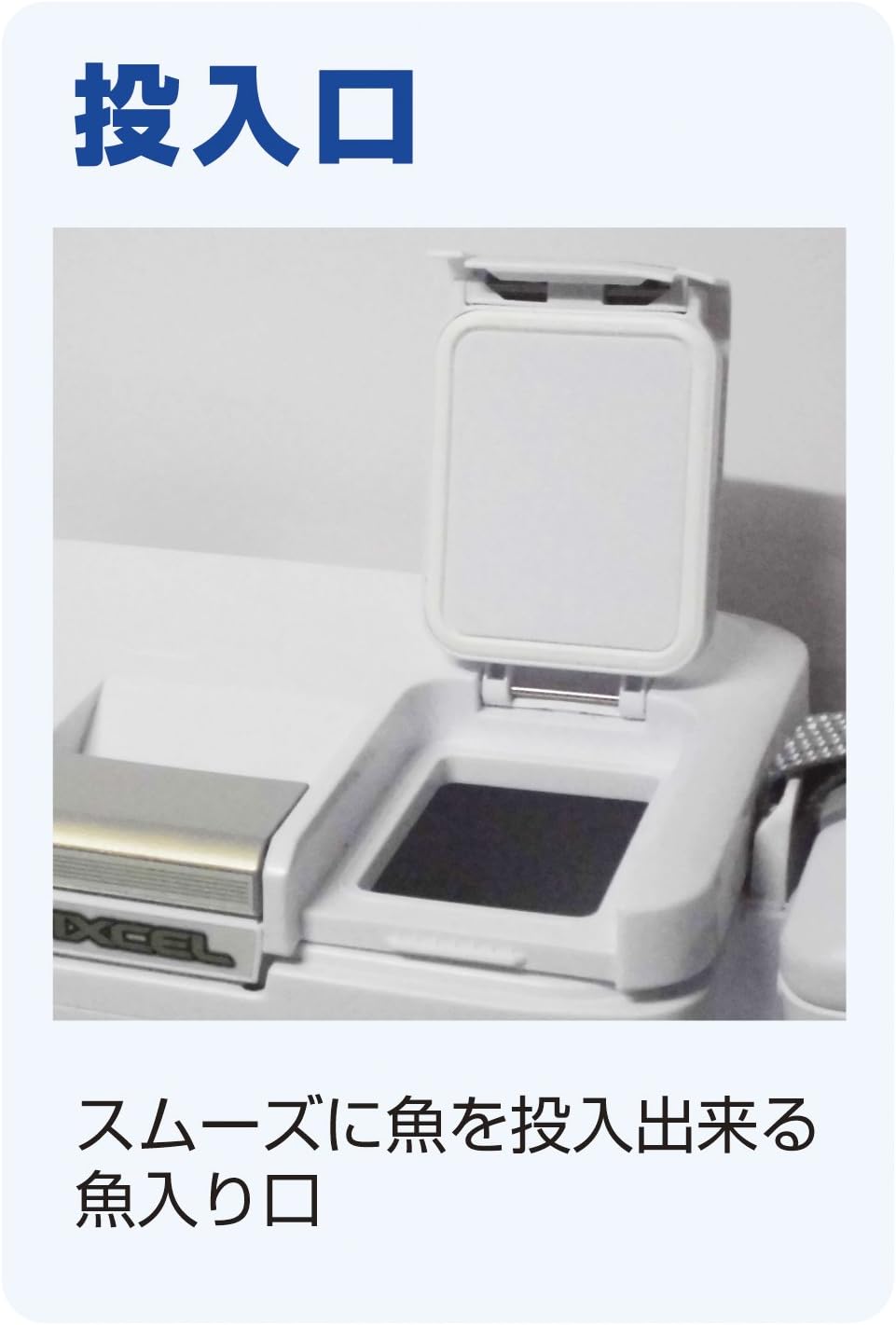 SHIMANO Cooler Box Fixcel Lite For Fishing 9.5~31.7 qt (9~30 L) 90LF-009N/120LF-012N/170LF-017N/220LF-022N/300LF-030N