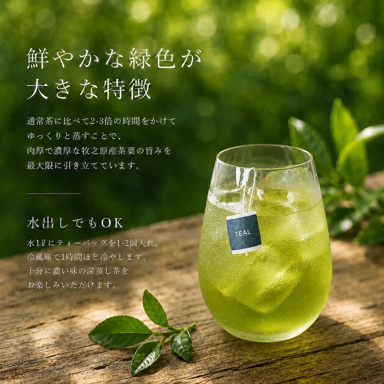 TEAL (Teal) [Green Tea x Bergamot] Green Earl Grey Tea Bags 3g×20P Green Tea, Deep Steamed Tea, Shizuoka Prefecture Makinohara Origin, Hot, Cold Brew Both OK, Present, Gift, Gift, Year-End, Handicraft