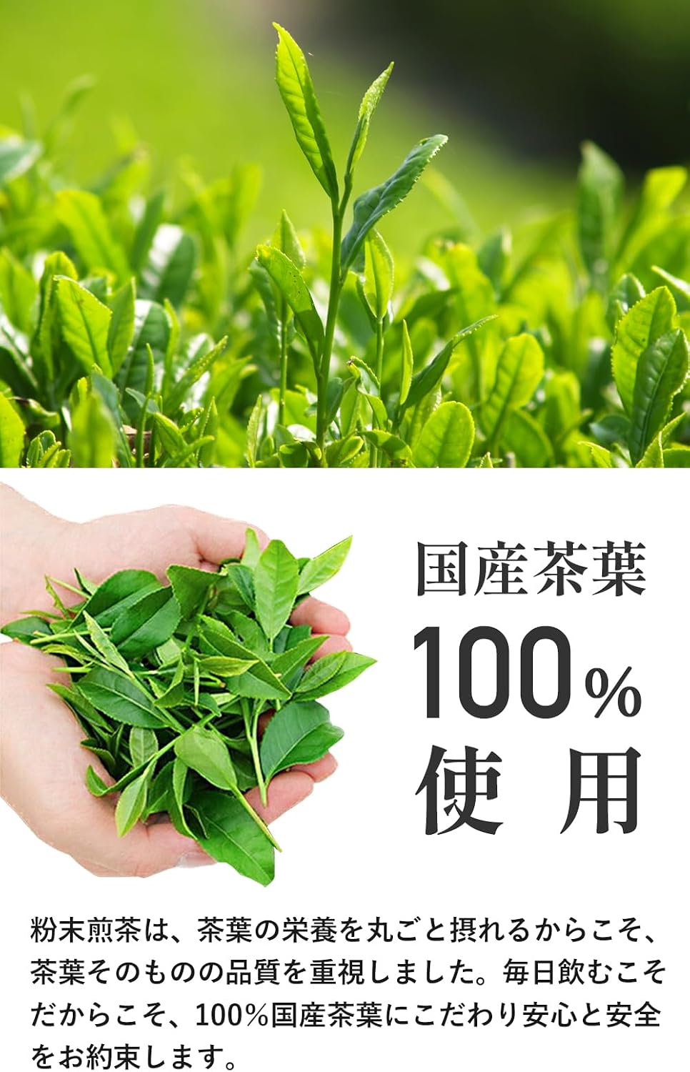 Uji-tawara Tea Plantation Powdered Sencha Tea, Smooth Green Tea Powder, Sencha Green Tea, Japanese Tea, Bottle Tea, Powdered Tea (3 Flavors (3 x 6 bags = 18 bags)) 27493