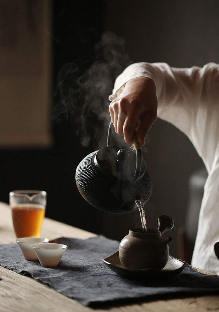 Iron Kettle Teapot Iron Supplement No Enamel Direct Fire Use IH Compatible Traditional Craft Hail 0.8L