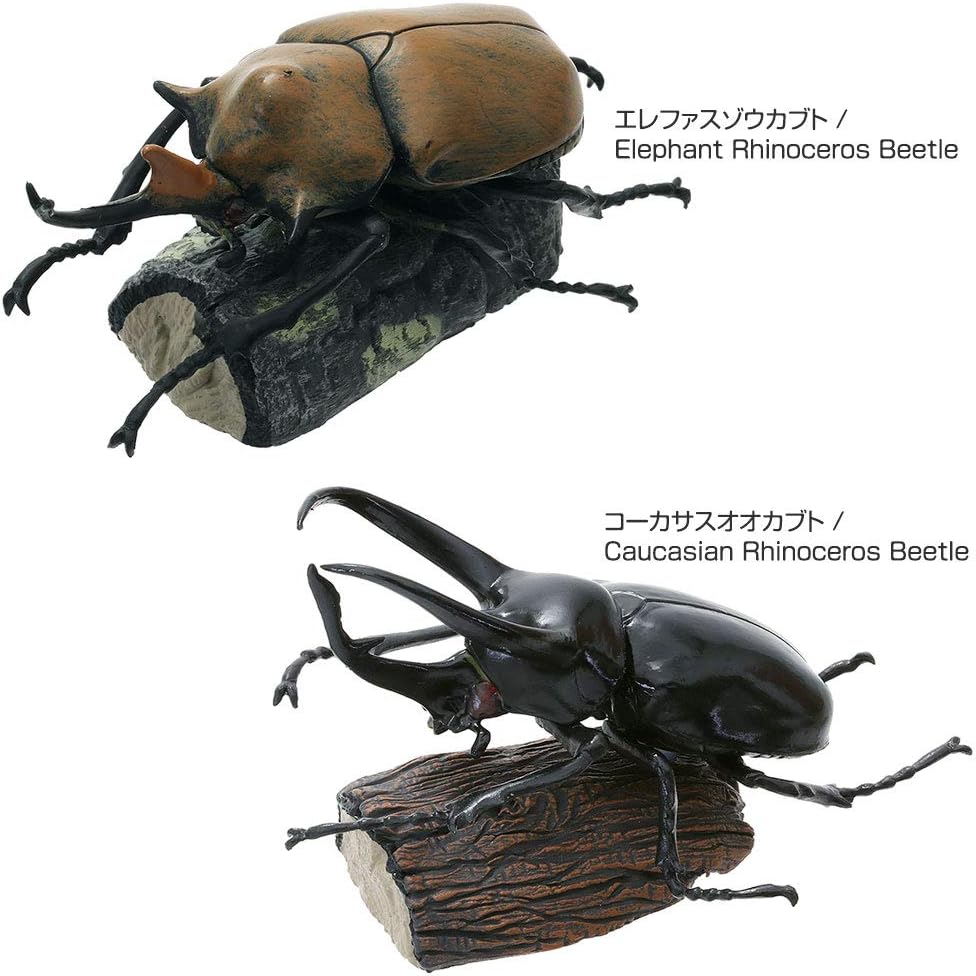 カロラータ 立体図鑑 カブトムシ フィギュア (6種 / 解説書付き) リアル おもちゃ (知育玩具) 誕生日 ギフト プレゼント (食品衛生法クリア) ライナセラスビートル/リアルフィギュアボックス 模型/クリスマス クリスマスプレゼント