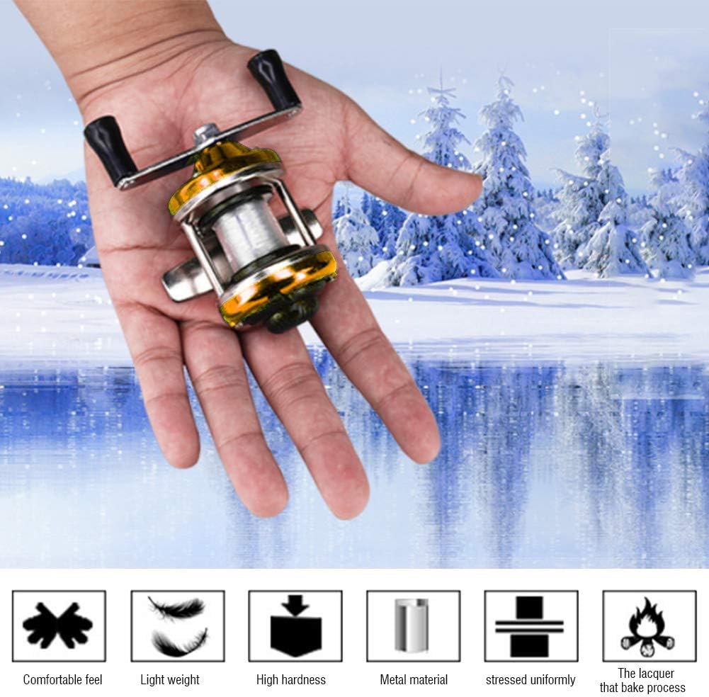 Fishing Wheel Spinning Reel, Small Size, Lightweight, Stainless Steel Material (3.6 oz (108 g), Gold Color; Left & Right Interchangeable Handle, Magnetic Brake Bearing, Hardness Enhanced, Accuracy,