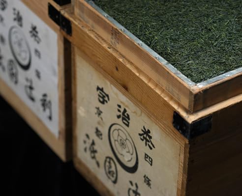 Gion Tsujiri Kyoto Sencha Tea Bags 3g×17 Bags 【Gift Present Souvenir】