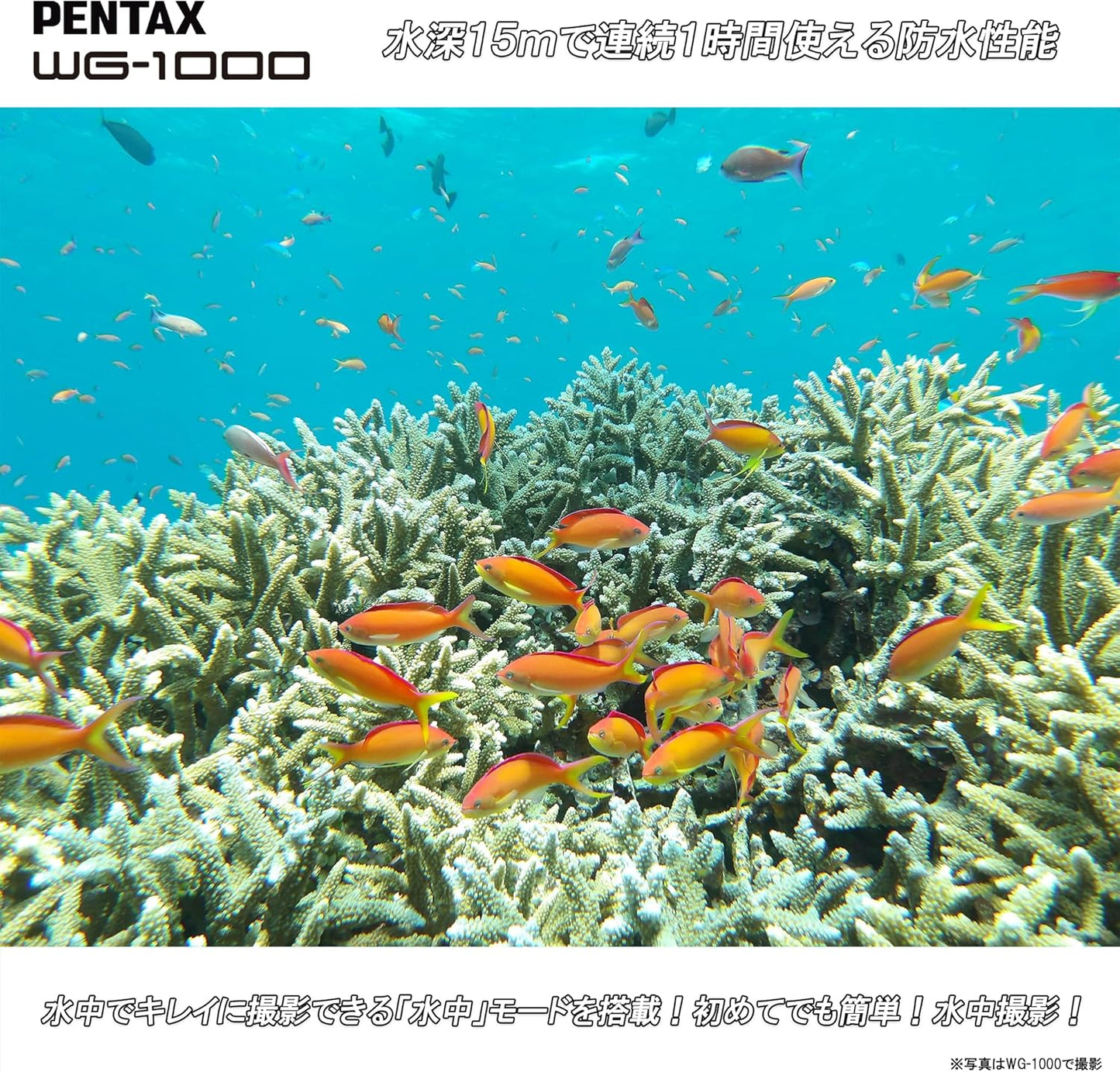 Pentax WG-1000 2153 Gray Digital Camera Waterproof 33.9 ft (15 m) Waterproof (1 Hour Continuous Use), 6.6 ft (2 m) Shockproof, Dustproof