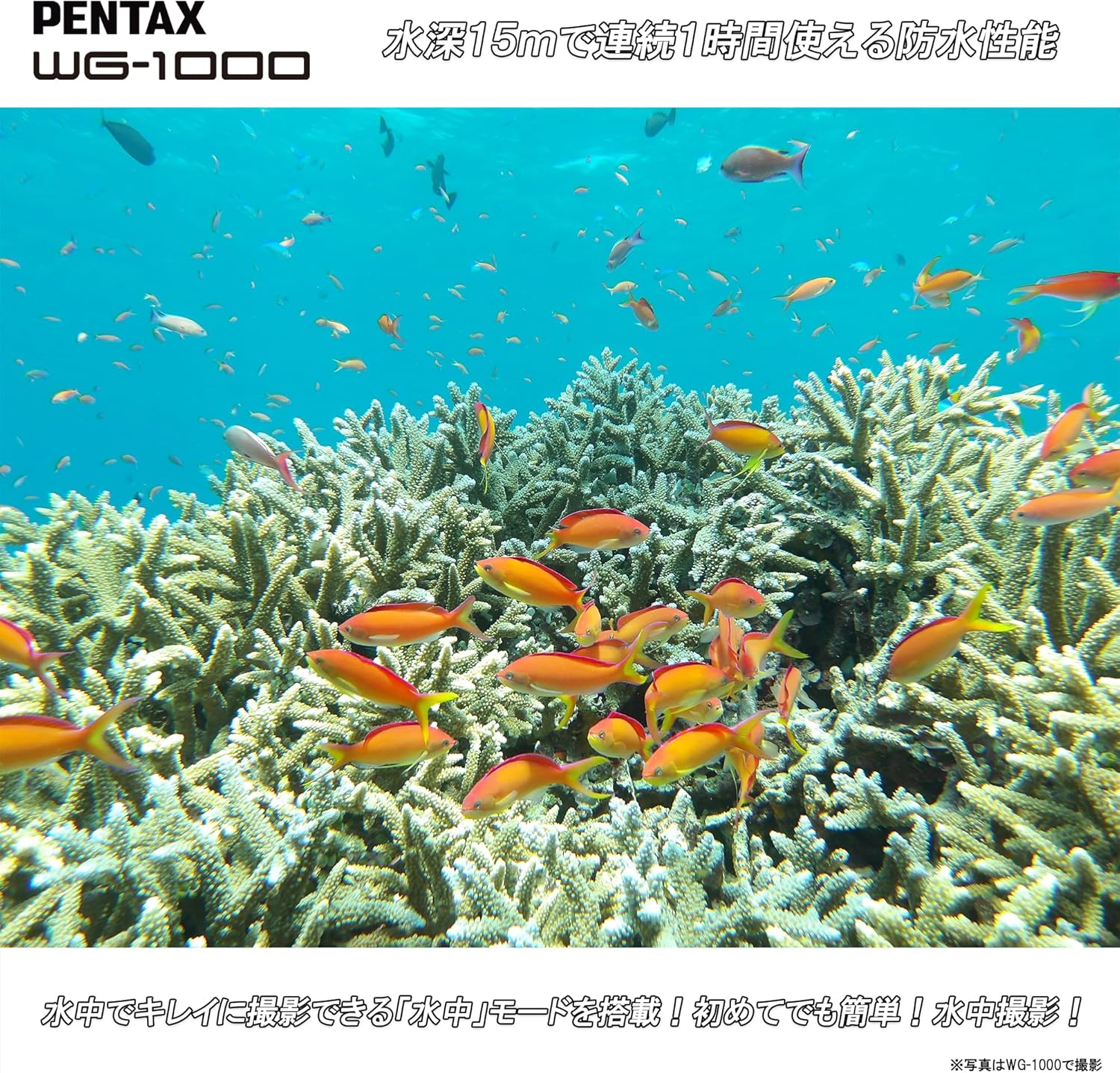 Pentax WG-1000 2153 Gray Digital Camera Waterproof 33.9 ft (15 m) Waterproof (1 Hour Continuous Use), 6.6 ft (2 m) Shockproof, Dustproof