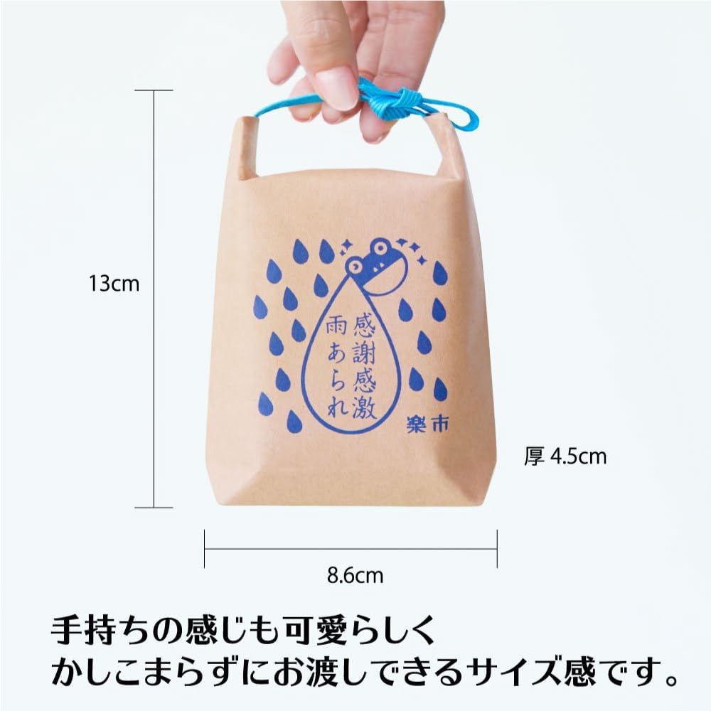 Okashi Rakuichi Kansha Kangeki Amearare Arigatou Arare Combination Set Rice Bags 10-Pack (Dashi Soy Sauce 10-Pack) Okak Individually Wrapped Hail Message Summer Gift Retirement Job Change Snacks Petit