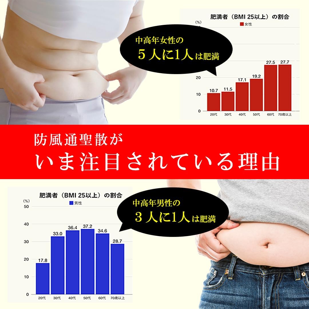 【第2類医薬品】本草防風通聖散エキス錠-H 360錠