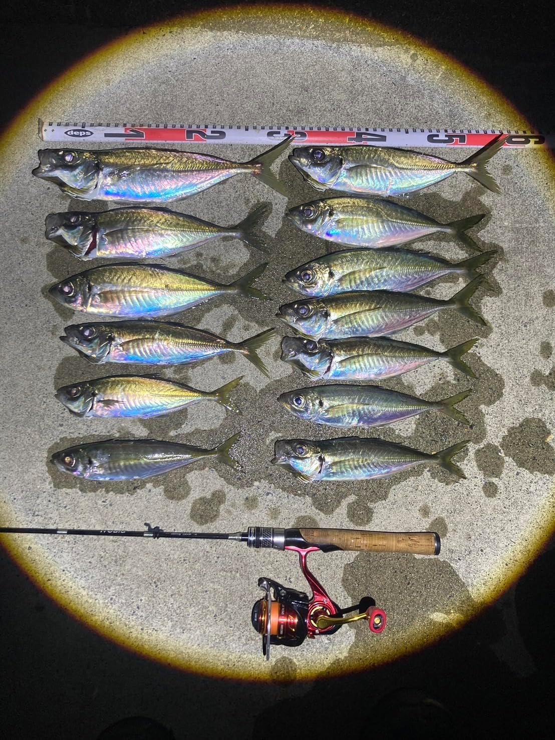 Orlude qb010104 Fishing Tackle Orucs Spinning Reel