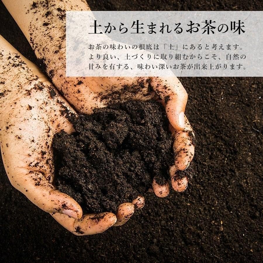 Kirishima tea, grown in Kagoshima, grown in Kagoshima, Chiroshima tea, Kagoshima tea, Japanese tea, Kagoshima, Tea time delivery (2.8 oz (80 g) (1 bag))