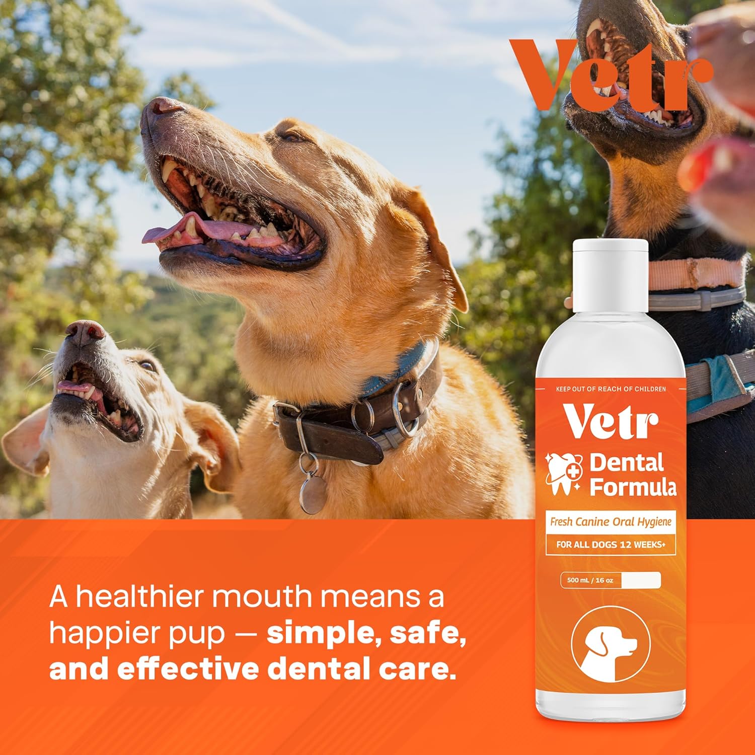 Vetr Fórmula dental para perros, aditivo líquido con sabor a menta para el cuidado bucal con enzimas para el aliento y el apoyo de los dientes, formulado por veterinarios en Estados Unidos (16 onzas)