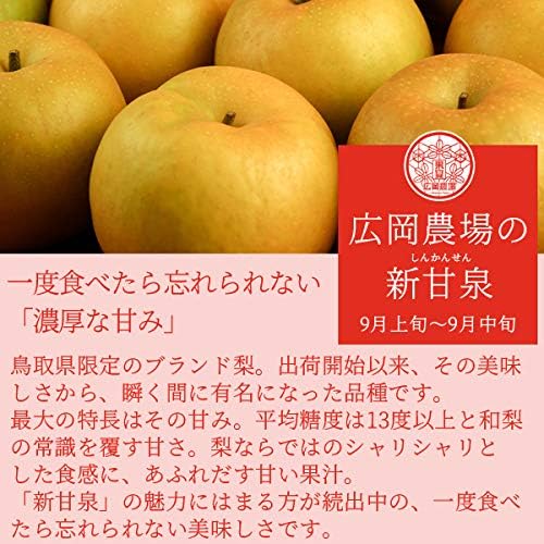 Hirooka Farm Shinkansen (Shinkansen), 11.0 lbs (5 kg) Pack (7 - 16 Balls), Tottori Prefecture Pear None, Shin-Kansen Pear Akahide (For Gift)