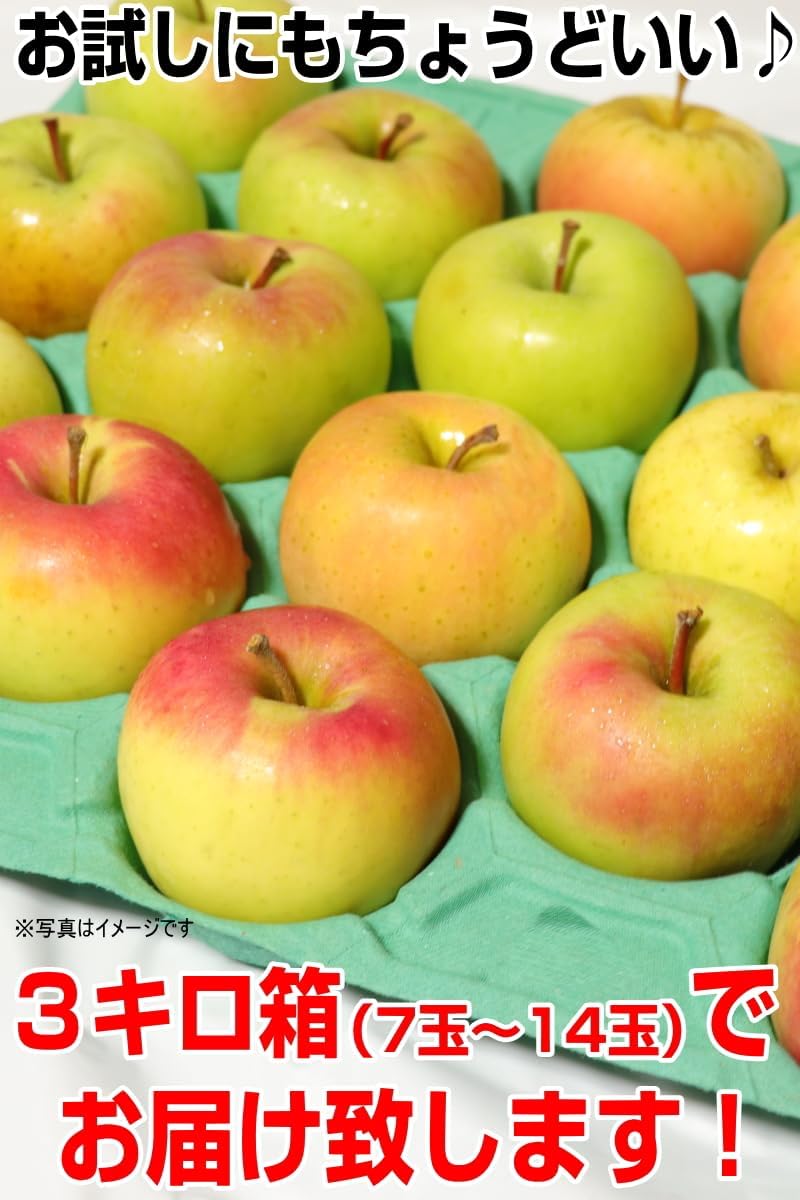 Aomori Prefecture, Rookie Shop, 6.6 lbs (3 kg) Box, Gumma Nazetsuki Apples, For Home Use, 6.6 lbs (3 kg) Box of Aomori Prefecture, Various Large and Large