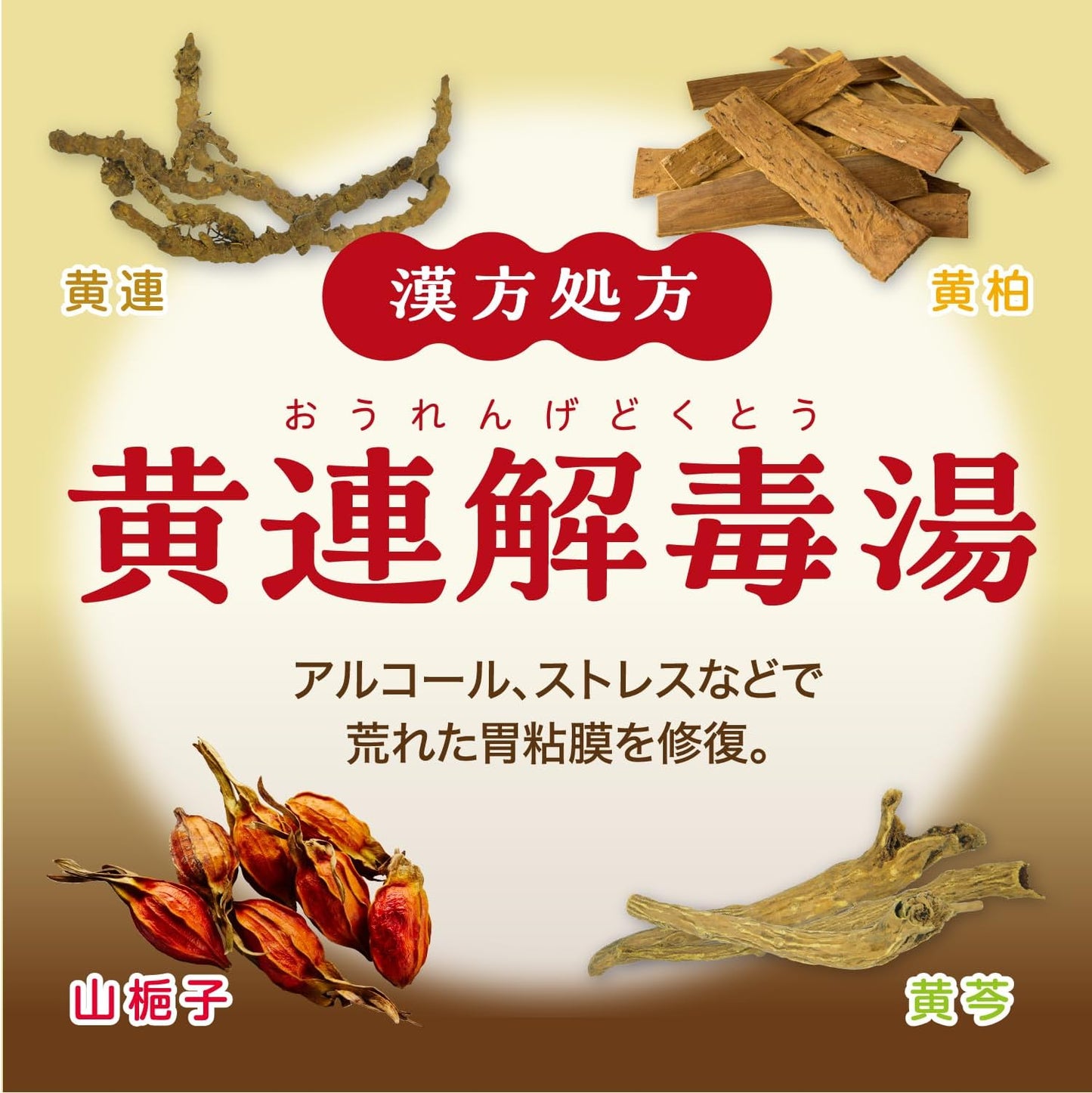 【第2類医薬品】大正漢方胃腸薬〈内服液〉 30mL×10本入
