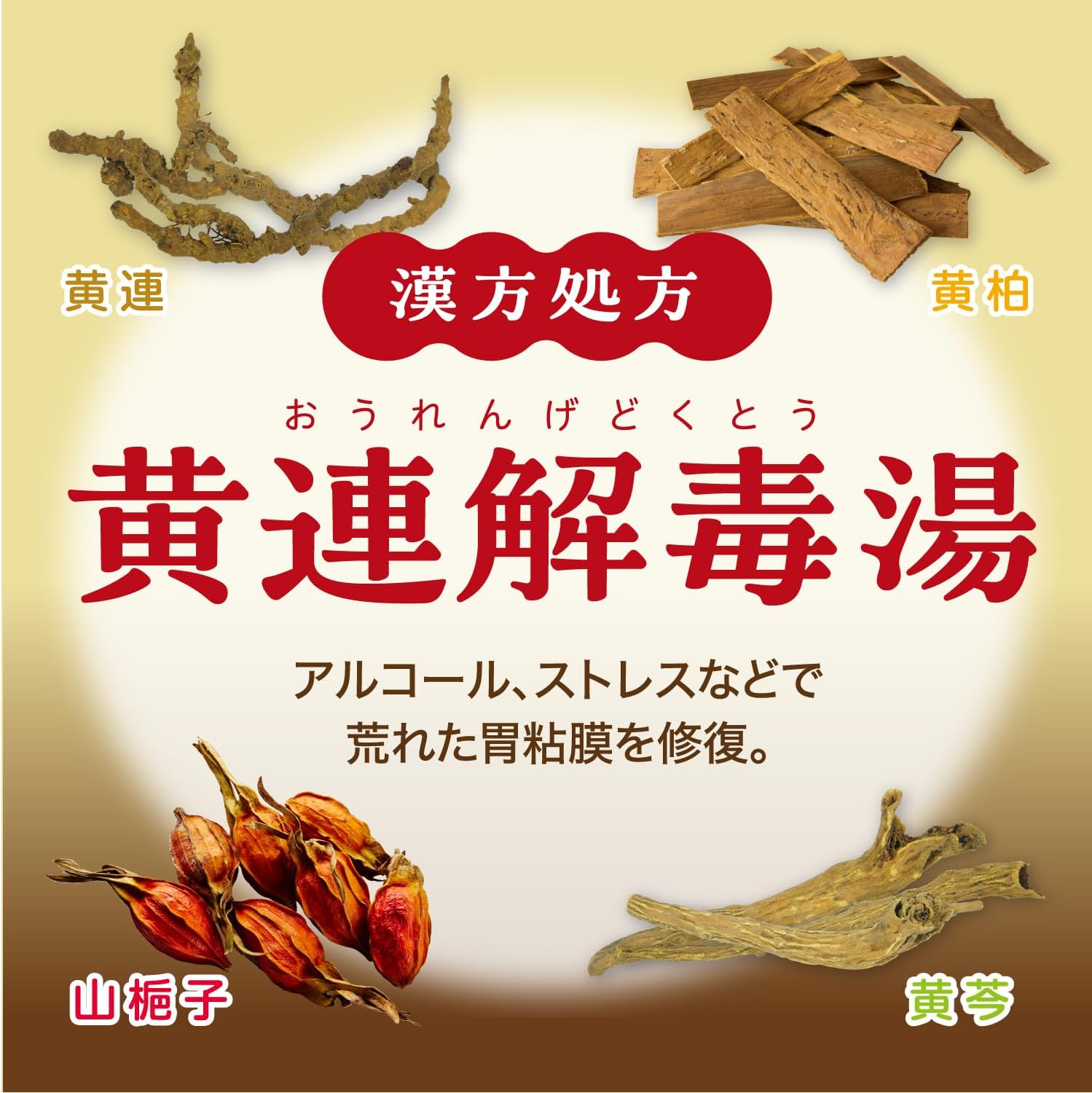 【第2類医薬品】大正漢方胃腸薬〈内服液〉 30mL×10本入