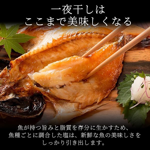 Sanin Dried Fish Set, Dried Fish Set, Carefully Selected Overnight Dried in Shimane and Hamada Port (5 Types of Dried Fish) (5 Types of Dried Fish) Additive-Free Dried Fish Gift
