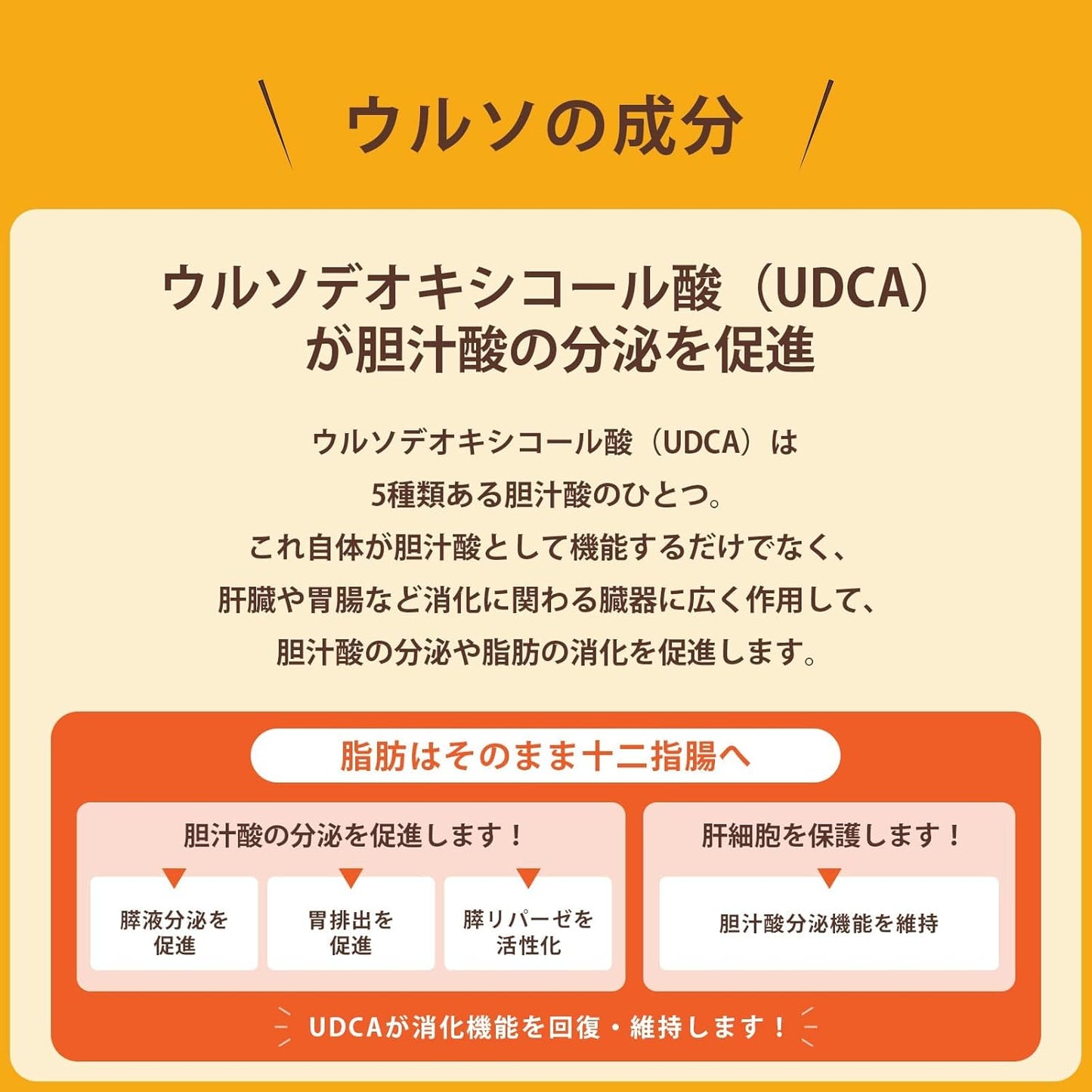 【第3類医薬品】タナベ胃腸薬ウルソ 60錠