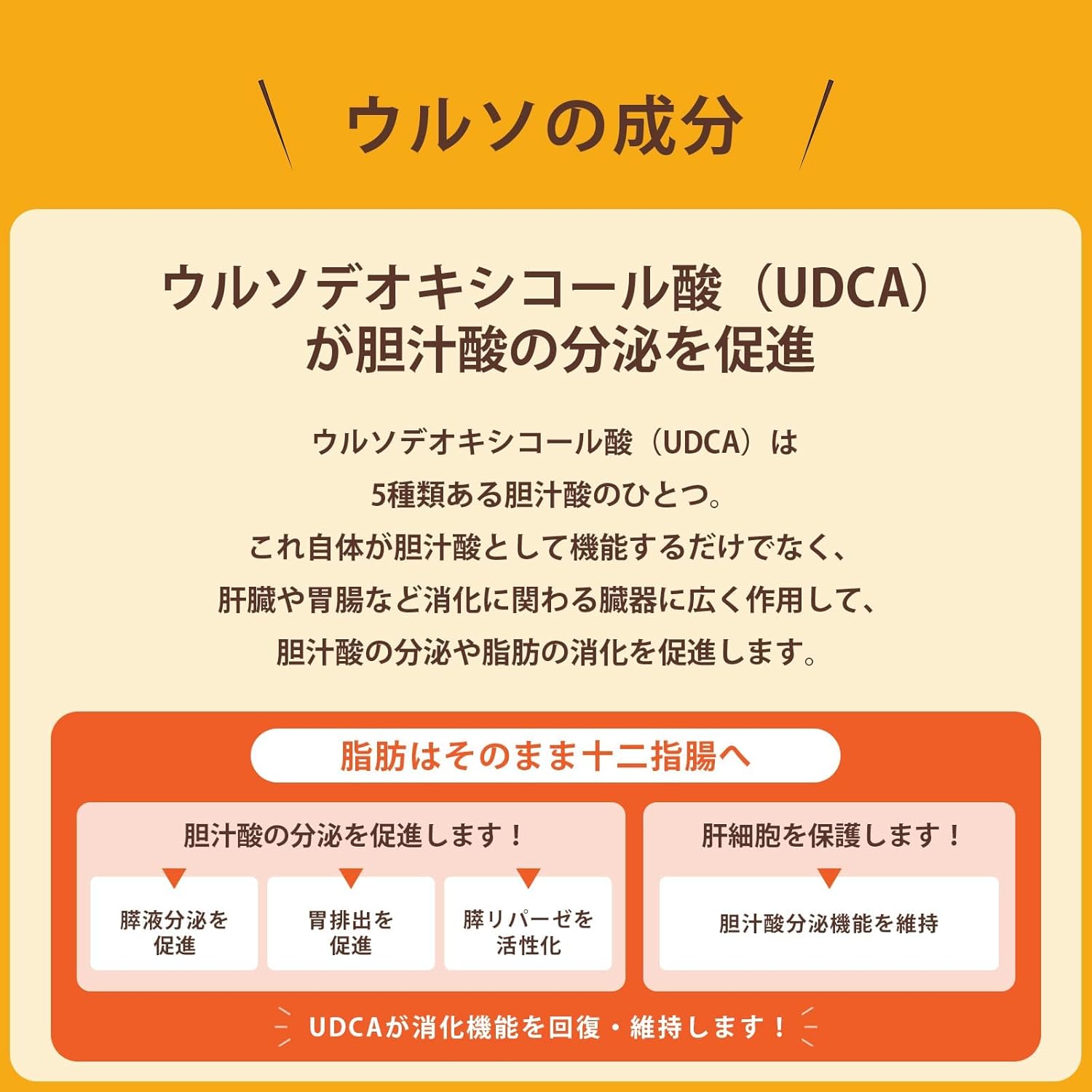 【第3類医薬品】タナベ胃腸薬ウルソ 60錠