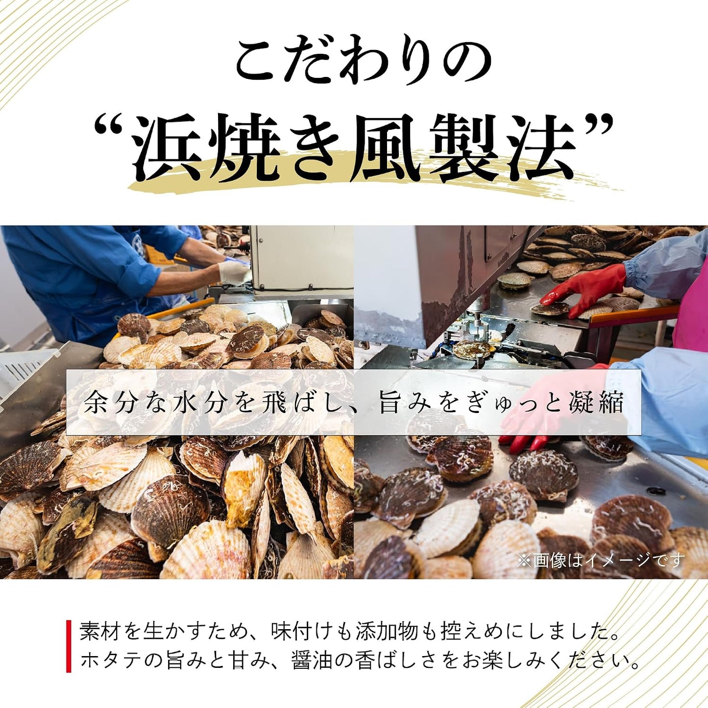 Domestically Produced, Beach-Fired Scallop Shellfish (with the umami and savory soy sauce flavor of scallops) Scallop Adductor Muscle Delicacy, Alcoholic Snack, Dried Fish by Chikatsu Shokai | Hamayaki Umaami Soy Sauce, Dried Food