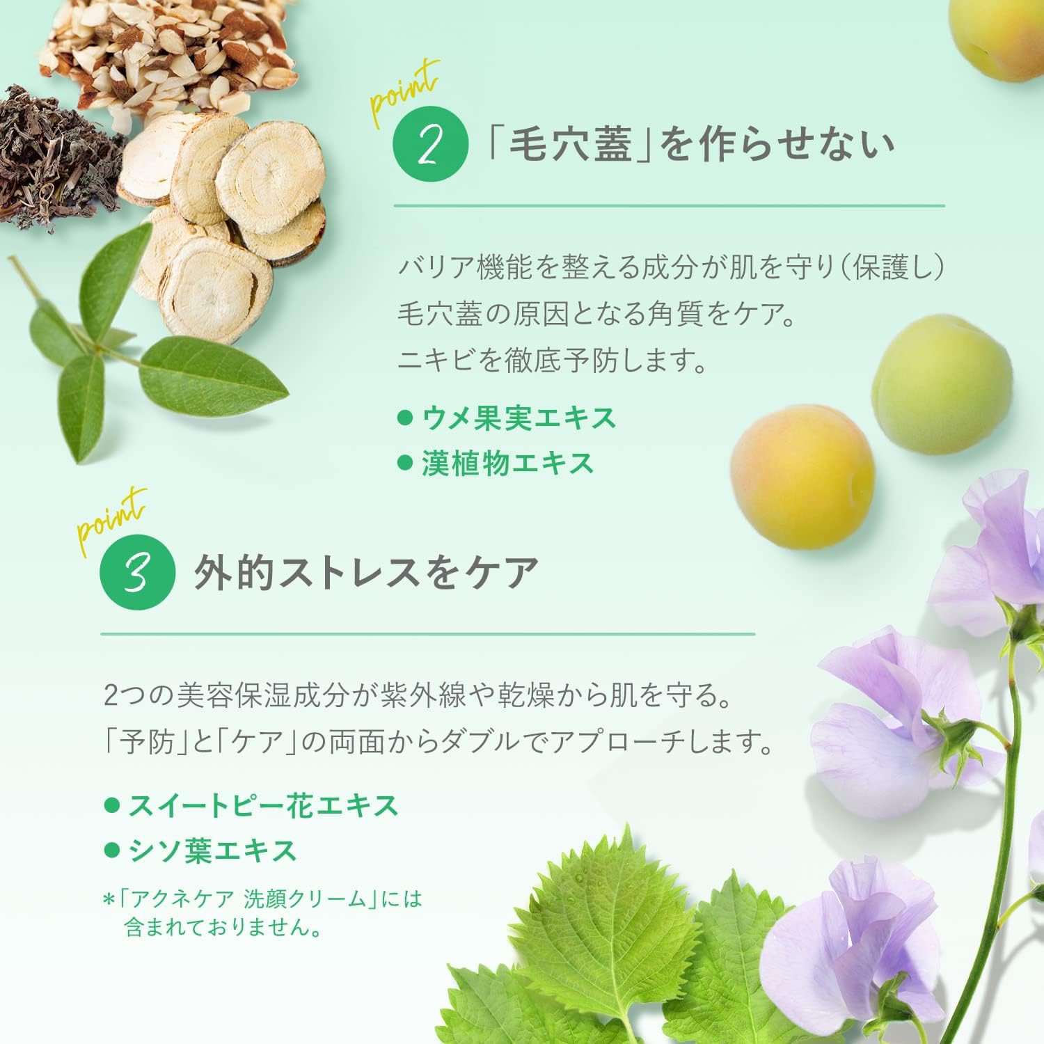 ファンケル (FANCL) (新) アクネケア 化粧液 1本 30ml (約30日分)＜医薬部外品＞ 化粧水 無添加 (ニキビ/肌荒れ/大人ニキビ)