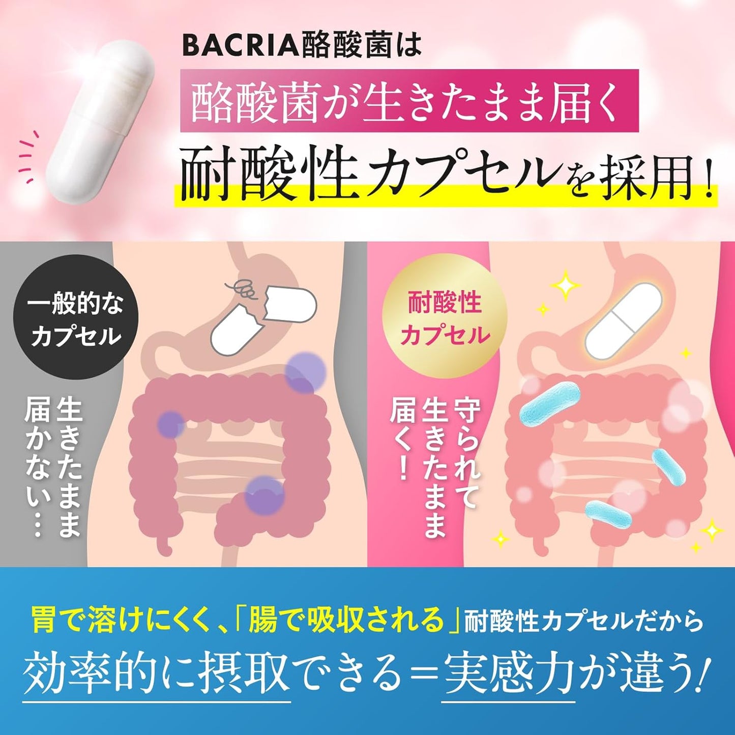 BACRIA Butyric Acid Bacteria (3.5 Billion Live Butyric Acid Bacteria), Lactobacilli, Bifidobacteria, Fructooligosaccharides, Digestible Dextrin, Reach Live, Acid-resistant Capsules, Bacterial Activity