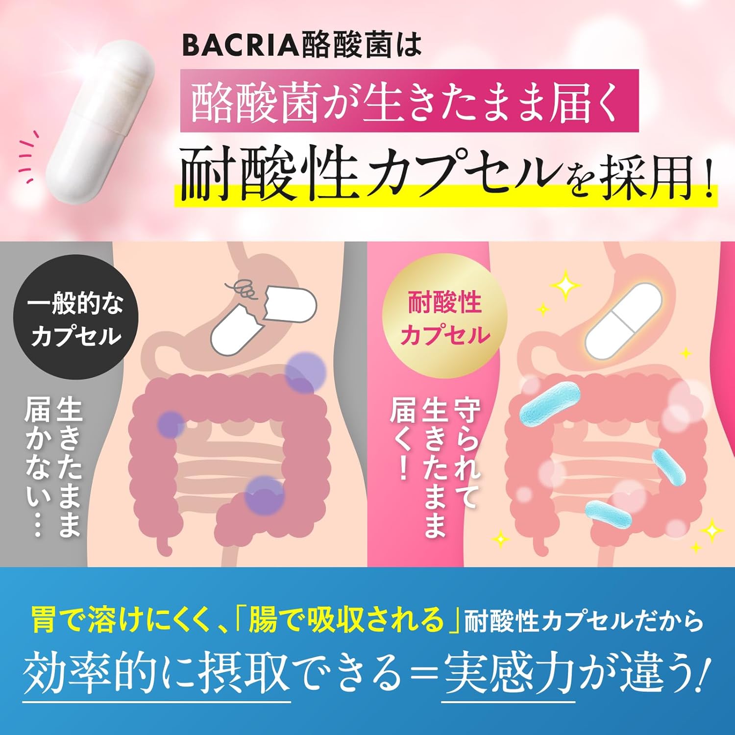 BACRIA Butyric Acid Bacteria (3.5 Billion Live Butyric Acid Bacteria), Lactobacilli, Bifidobacteria, Fructooligosaccharides, Digestible Dextrin, Reach Live, Acid-resistant Capsules, Bacterial Activity