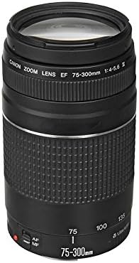 キャノンEF 75-300mm f/4-5.6 III 望遠ズームレンズ