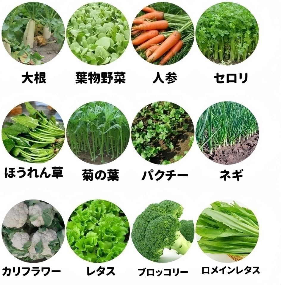 TVTKE手動野菜播種機 手押し式種子散布機 多機能 農具 動プッシュ 精密種まきツール 高さ調整可能な 省労力アイテム 調整可能な植物間隔 開溝・鎮圧・播種一体化 ほうれん草キャベツ種まき機 農機具 野菜 大根等 農業機械 種まき 家庭菜園 (2 条式野菜播種機) [並行輸入品]