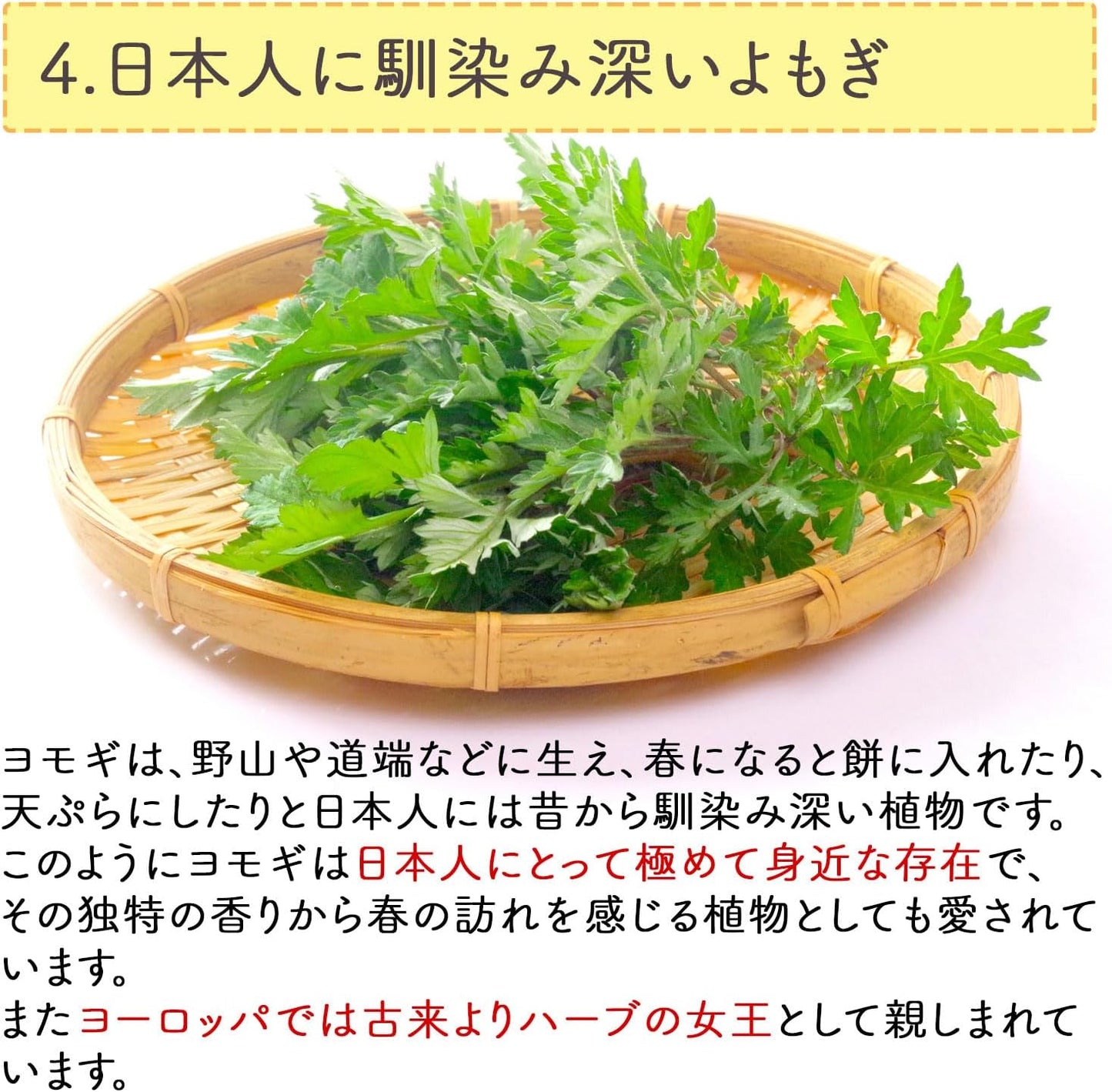 Honjien Tea Domestically Produced Mugwort Tea Tea Bags Large Capacity Health Tea 3g×50 Bags Mugwort Tea Artemisia Tea Non-Caffeinated