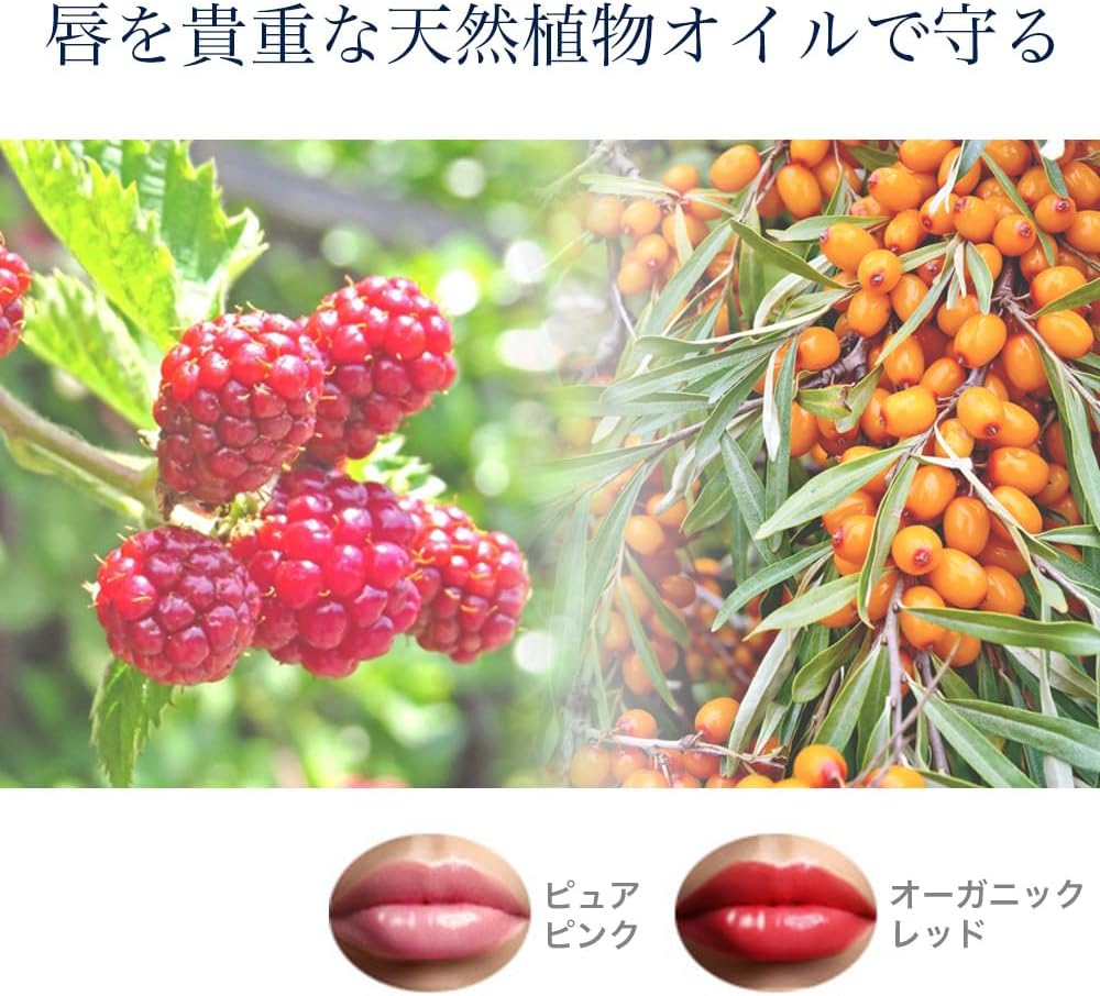 Organic Gloss 6g Rose Lip Gloss Lip Protection High Color Long Lasting Organic Red Blue Claire